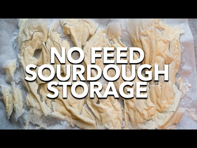 How to Dehydrate or Freeze Sourdough Starter (No Feed Storage)