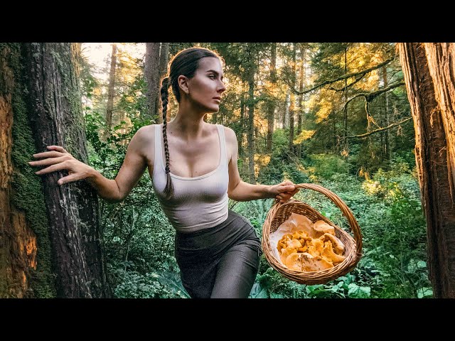 ALONE OFF GRID | FORAGING in the OREGON WILDERNESS | HARVESTING from our LAND #offgrid #survival