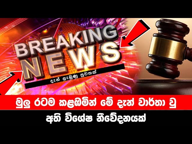 breaking news|election prediction srilanka news|hiru news|political news|hiru tv live|news 1st