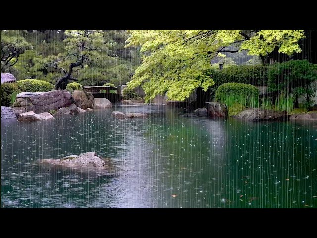 Raindrops Falling on a Garden Pond, Relaxing Rain Sounds that Help you Relax, Stress Relief