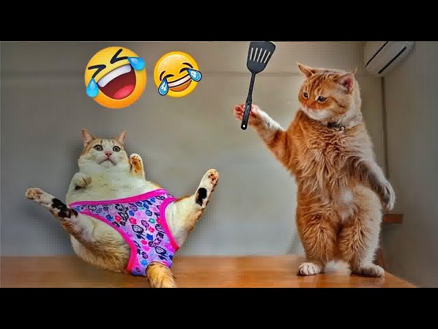 You Laugh You Lose😍Funniest Dogs and Cats 2025😻🐶