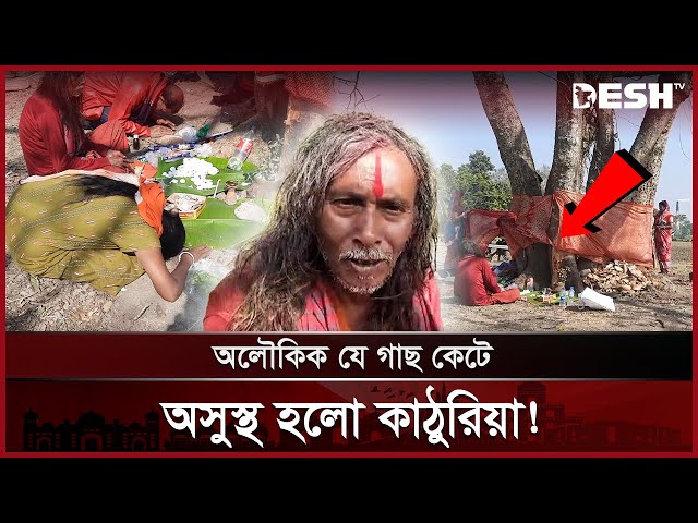 মাগুরায় গাছ কাটতে গিয়ে অলৌকিক ঘটনা | Miracle Tree | Magura News | Desh TV