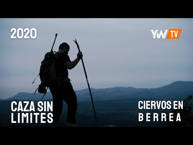 Cazando ciervos durante la berrea -  Ep1 I  La caza sin límites