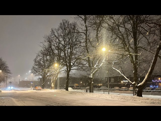 Walk in Norway Countryside in Heavy Snowfall | 4K HDR Norway