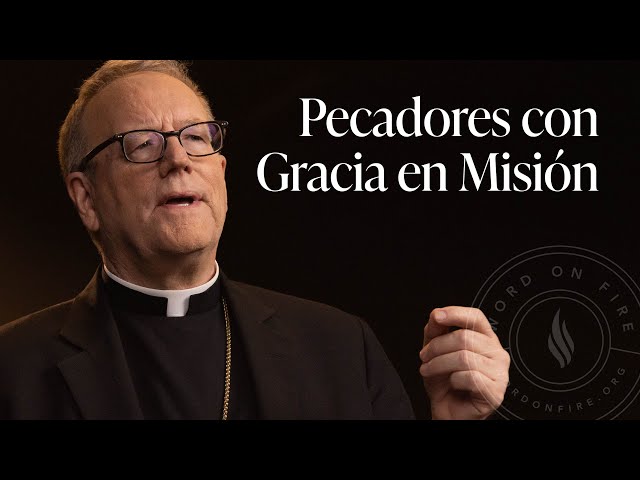 Pecadores con Gracia en Misión — Sermón del Domingo del obispo Robert Barron