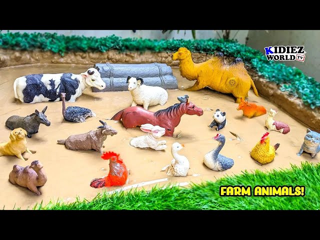 Farm Animals Stuck in Mud | Cute Farm Animals Names and Sound