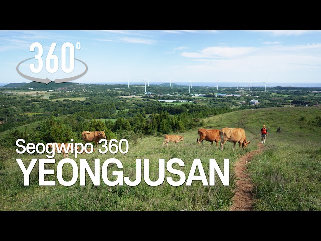 [360° VR 투어] 천국의 계단으로 떠나는 가을 영주산 | 서귀포 360