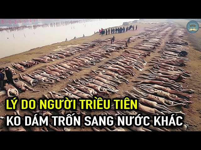 Đây Là Lý Do Tại Sao Người Bắc Triều Tiên Không Thể Trốn Sang Các Quốc Gia Láng Giềng | TUYỆT MẬT TV