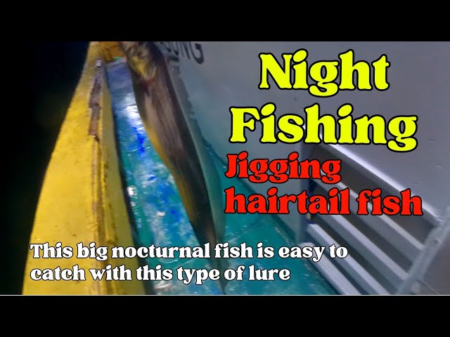 Night Fishing Jigging hairtail Fish. This big nocturnal fish is easy to catch with this type of lure