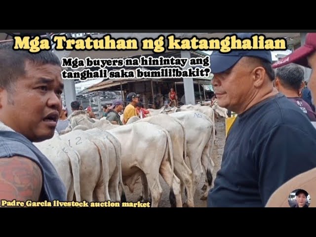 Mga tratuhan sa katanghalian/presyo ng ga fattening na baka #padregarciabatangas