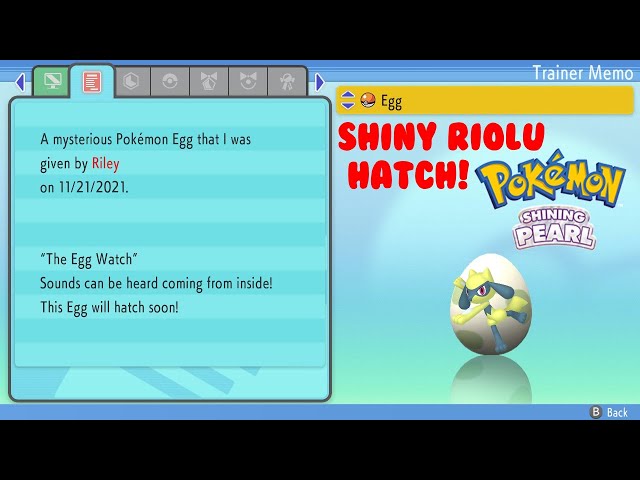 Shiny Riolu Hatched From Riley's Riolu Egg In Pokémon Shinning Pearl!