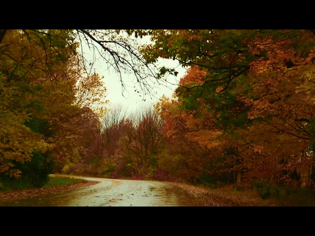 Autumn Scenic View In Door County, Wisconsin