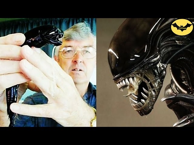 5 Movie Monsters You Won't Believe Exist in Real life!