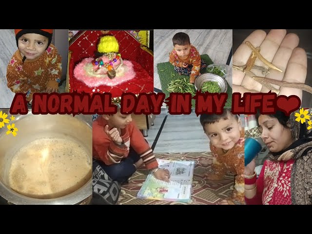 A Normal day in my life❤||Indian mom busy morning to evening routine with two kids||Jammu vlogs ❤