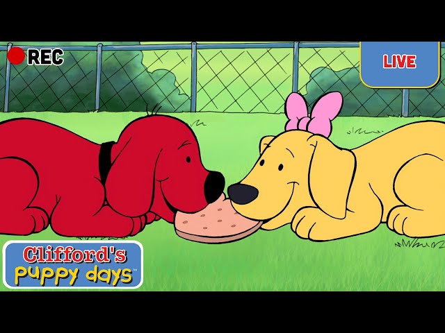 🔴 LIVE | Clifford's Puppy Days 🐕 Season 1 FULL EPISODES | Scholastic