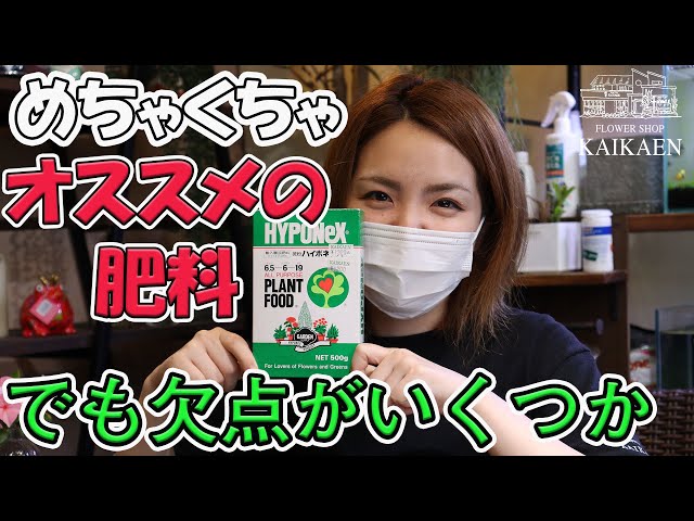 オススメの肥料　ハイポネックス　微粉タイプ　欠点もあります　社長１番オススメ肥料　【おうちでガーデニング】開花園チャンネル