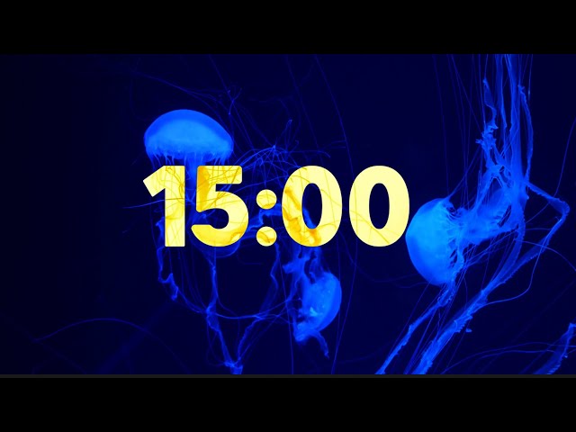 15 Minute Beautiful Jellyfish Timer with Soothing Music