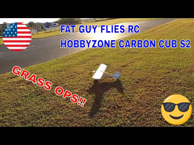 Hobbyzone Carbon Cub S2 Blue Sky and Grass OPS by Fat Guy Flies Rc