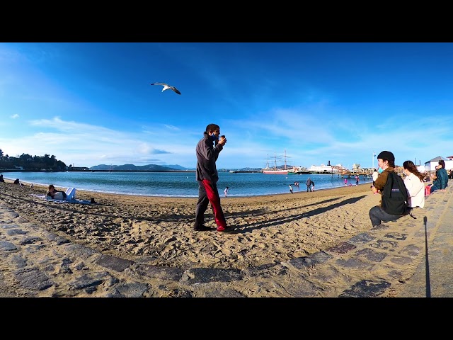 Aquatic Park Cove in San Francisco (360 Video)