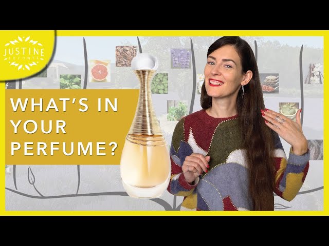 What’s inside your perfume: a deep dive into how fragrances are made