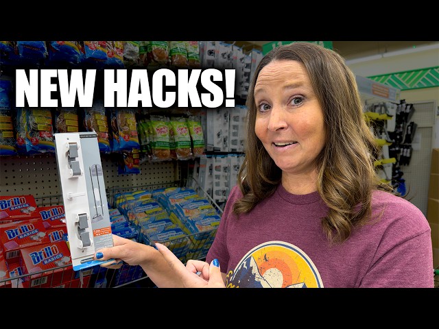 (Updated) Dollar Tree RV Organization & Storage! NEW, Improved Products for CHEAP 💸