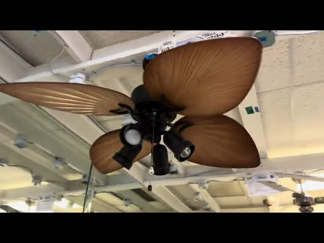 (5.5K Special) Ceiling Fans At Dan’s Fan City (Different Location)