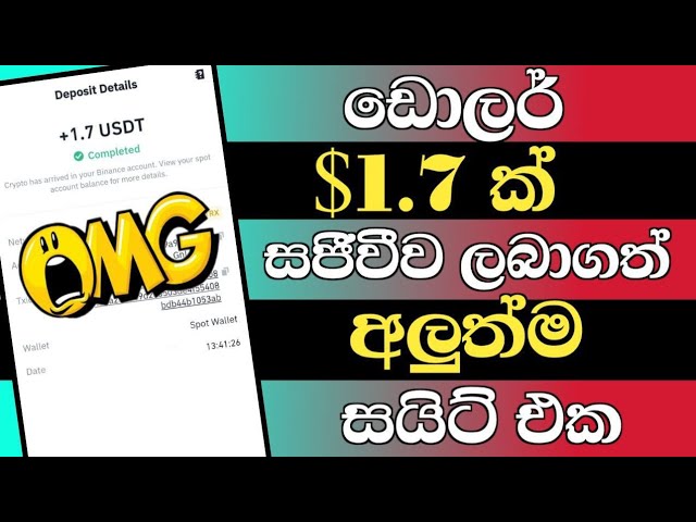 How to Earn Money Online Sinhala 2024 | New USDT Earning Site | Live Withdraw #usdt