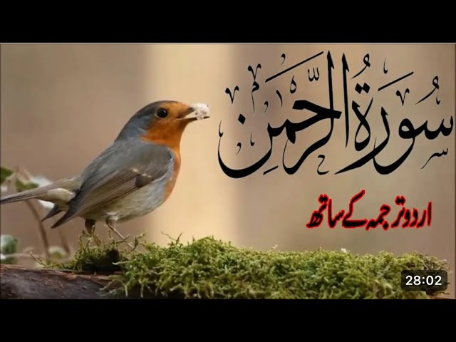 Surah Rahman With Urdu Translation | 8,9I Quran with Urdu and Hindi#surahrahman