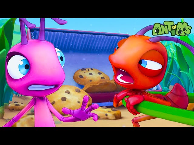 Antiks find a HUGE Cookie | Antiks Stories and Adventures for Kids | Moonbug Kids