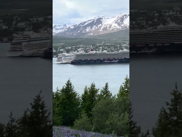 Mein Schiff 3 im Hafen von Akureyri Iceland