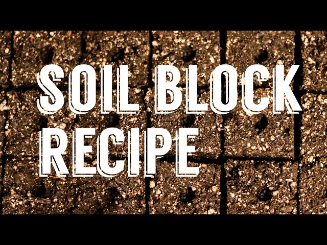 Start seeds without plastic! | Soil Blocks  | Eliot Coleman’s Recipe