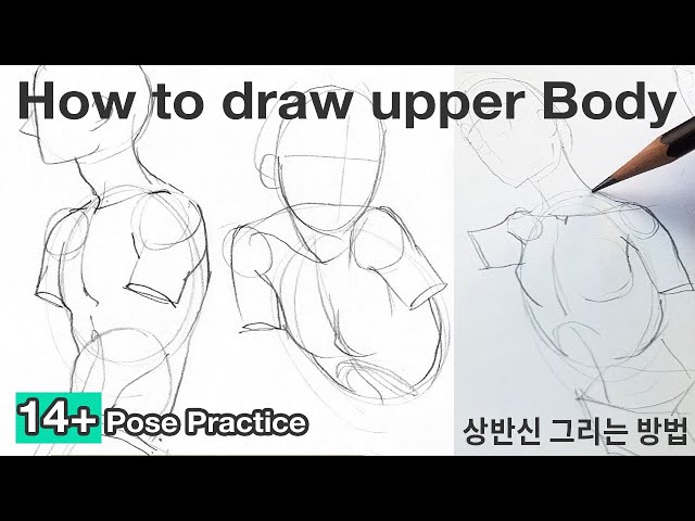 How to draw Bodies / Tutorial and Practice ✍✍