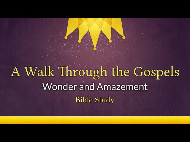 Wonder and Amazement Bible Study