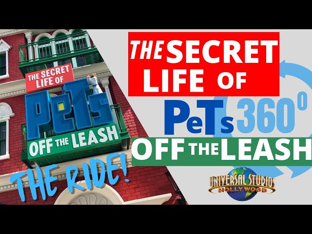 Secret Life of Pets Ride Universal Studios Hollywood in 360 VR