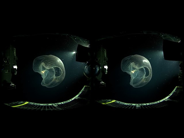 ROVVR Deepsea ROV Highlights