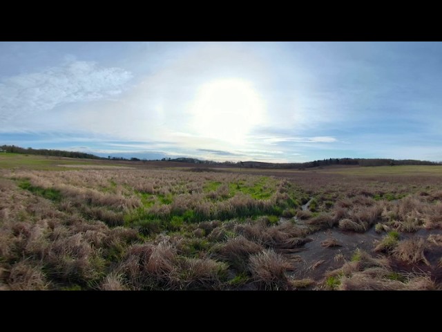 Big Meadows and the Vernal Pond - 360 Movie