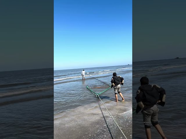 Dragging Fish Web, Port Said, Egypt, February 8, 2024 at 12:26