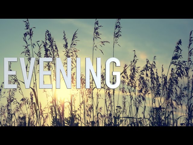 Gentle evening | Sleep, Study, Focus - White noise 2 hour #whitenoise #sleepsounds #studysounds