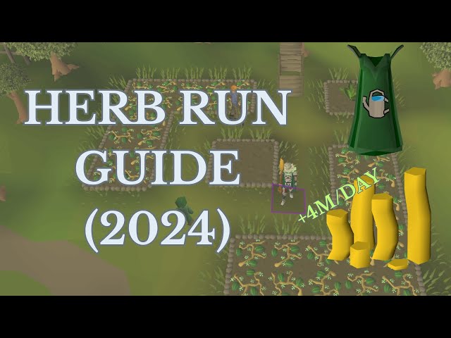 Herb Runs - Easiest GP in OSRS (4m/day)