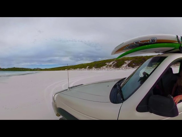 Relax with kangaroos on the whitest beach