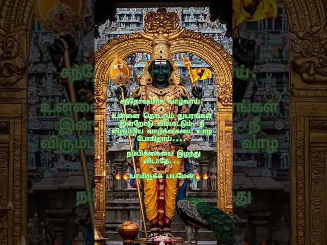 முருகன் வாக்கு🙏🏻#divine#om#tamilkadavul#murugan#bhakthi#tv#jothitv #quotes#lordmurugan#tamil#shareit