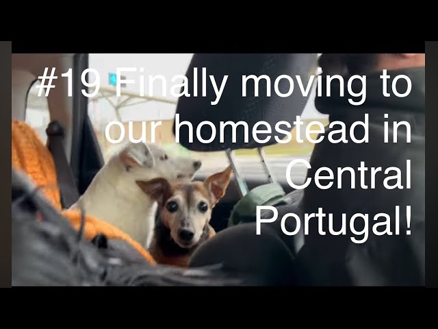 #19 Finally moving to our homestead in Central Portugal!