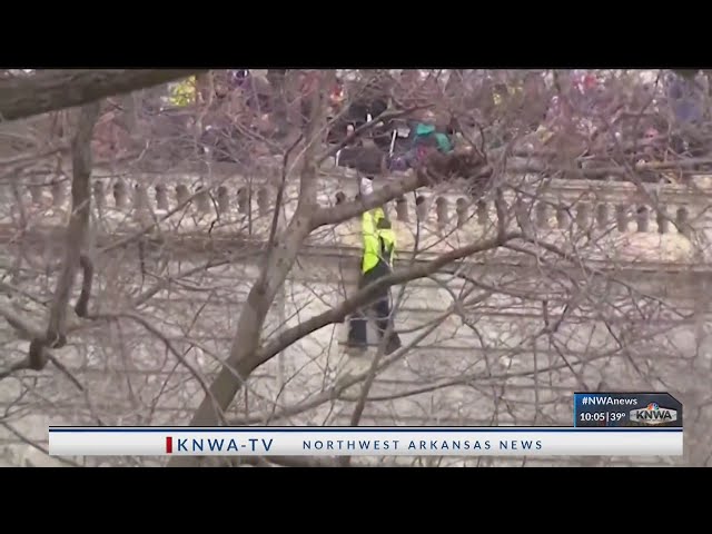 INSIDE LOOK: AR lawmakers react to turn of events at U.S. Capitol