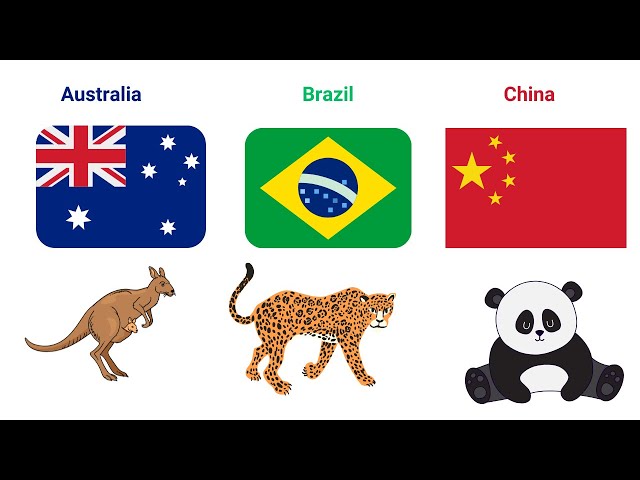 Learn about the Countries of the World & Their Flags!