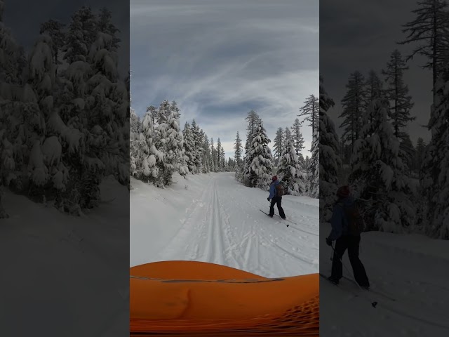 Skiing on Blacktail Mountain Nordic Ski Trails, near Lakeside, Montana. #mountains #montana #snow