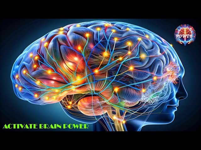 Alpha Waves Music STUDY MUSIC ALPHA WAVES ACTIVATE BRAIN POWER