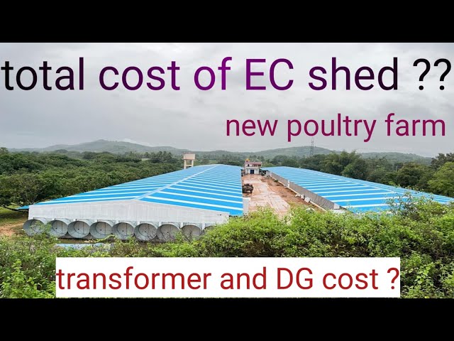 How to build a perfect Ec shed fully automatic @IndianFarmer