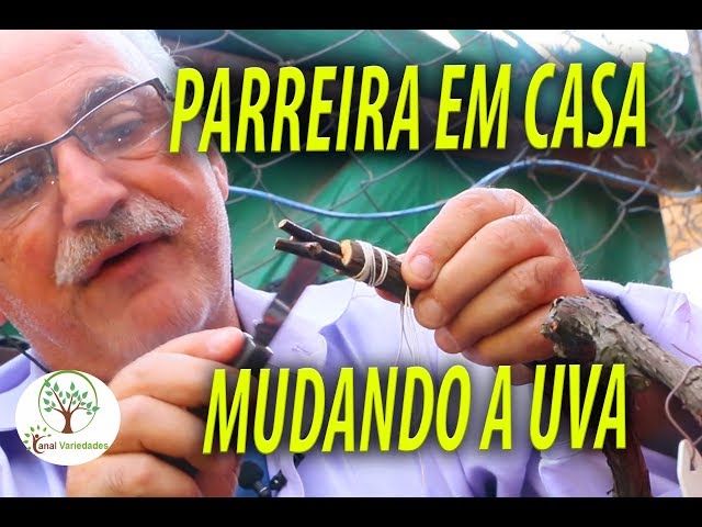 Enxertia Dupla em Videira, Ter Uvas Variadas em uma Mesma Parreira com Sergio Semerdjian