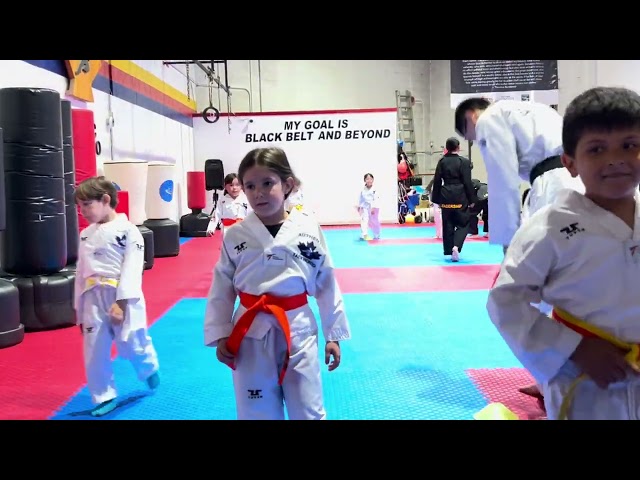 Kids Taekwondo Getting Ready For The Belt Test