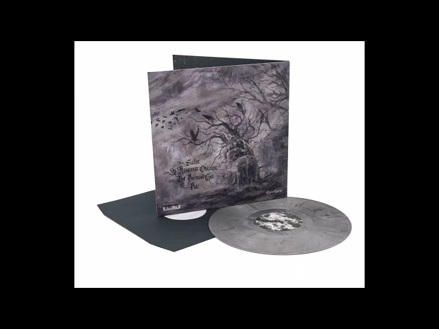 Austere - Corrosion of Hearts -Grey Vinyl [Product Presentation]